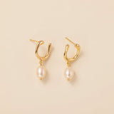 STMG Natural Pearl U Shape Dangle Earrings