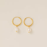 STMG Natural Pearl Dangle Hoops in gold