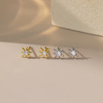 STMG Star Stud Earrings in 2 colours